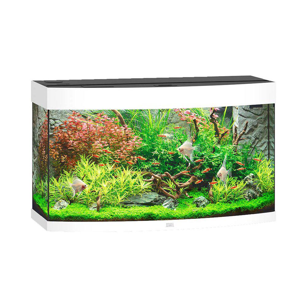 Juwel Vision 180 Akvarium LxBxH: 92x41x55 cm 180 liter - 2
