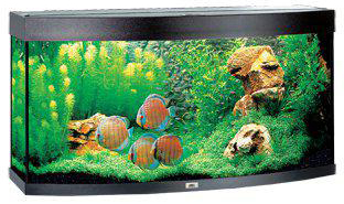 Juwel Vision 260 Akvarium LxBxH: 92x41x55 cm 260 liter - 2