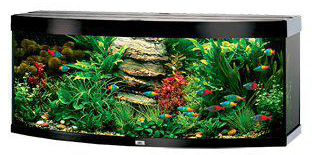 Juwel Vision 450 Paket LxBxH: 151x61x144 cm - 5