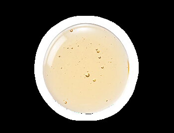 Natessance Anti-dandruff Shampoo - Jujube Bark Extract & PCA Zinc