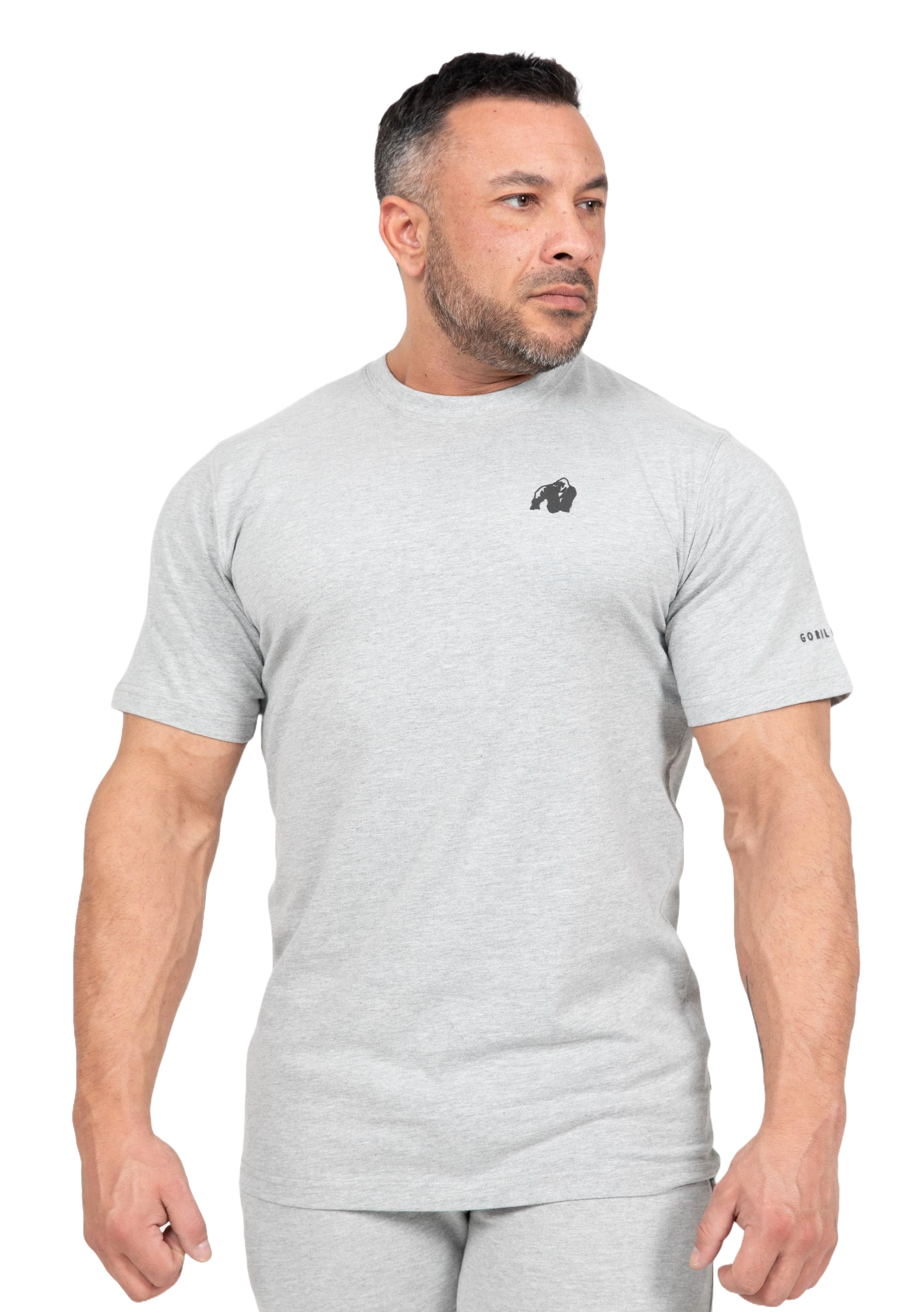 Leon T-Shirt, grey