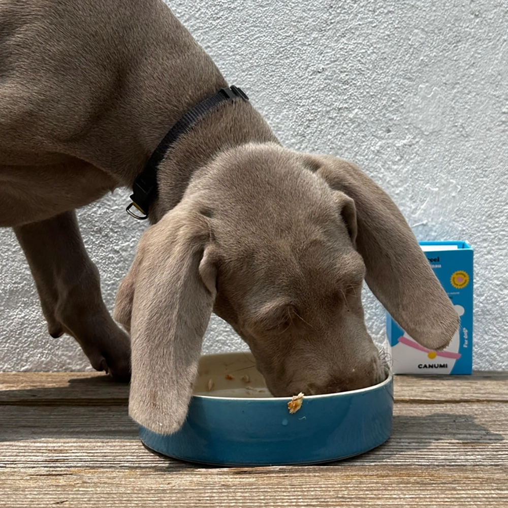 Canumi makrillfiléer till hund - 6