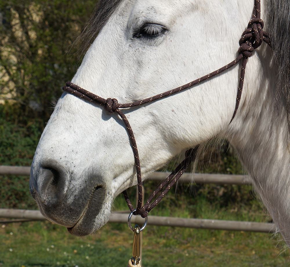 Rope halter Double Diamond #100 (sharp) "Mike Major", Large / Draft - 5
