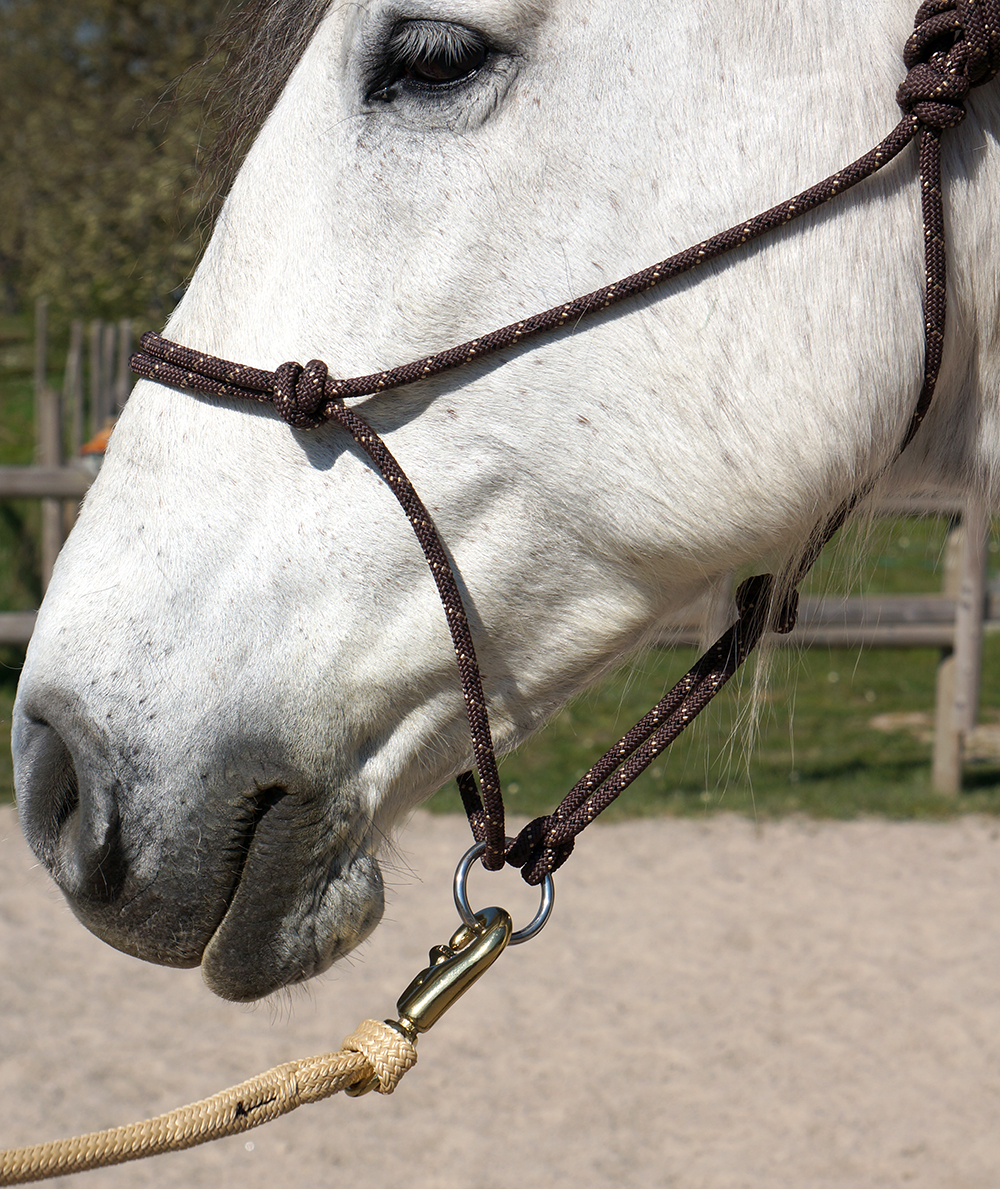 Rope halter Double Diamond #100 (sharp) "Mike Major", Large / Draft - 7