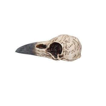  Edgar Allen Poe Ornament Korp Skalle