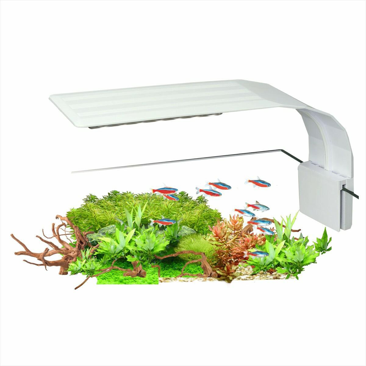 AquaLED Nano Vit 7W