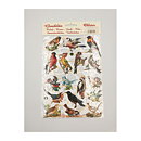 Bookmarks Second Hand - Birds Vintage EF7299, 7323