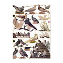 Bookmarks Second Hand - Birds Vintage EF7299, 7323