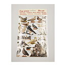 Bookmarks Second Hand - Birds Vintage EF7299, 7323