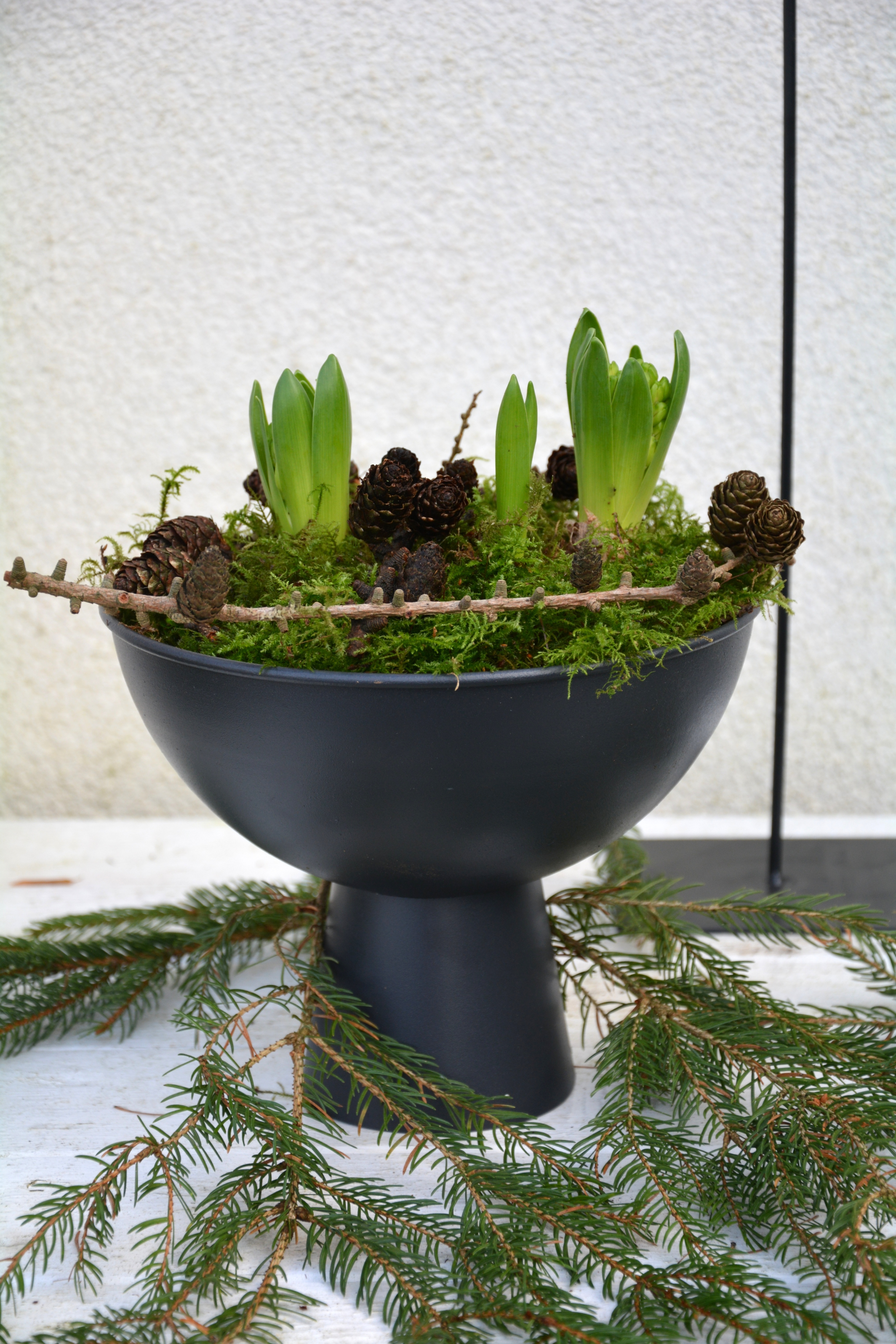 Kruka pokal svart 23 cm - 4