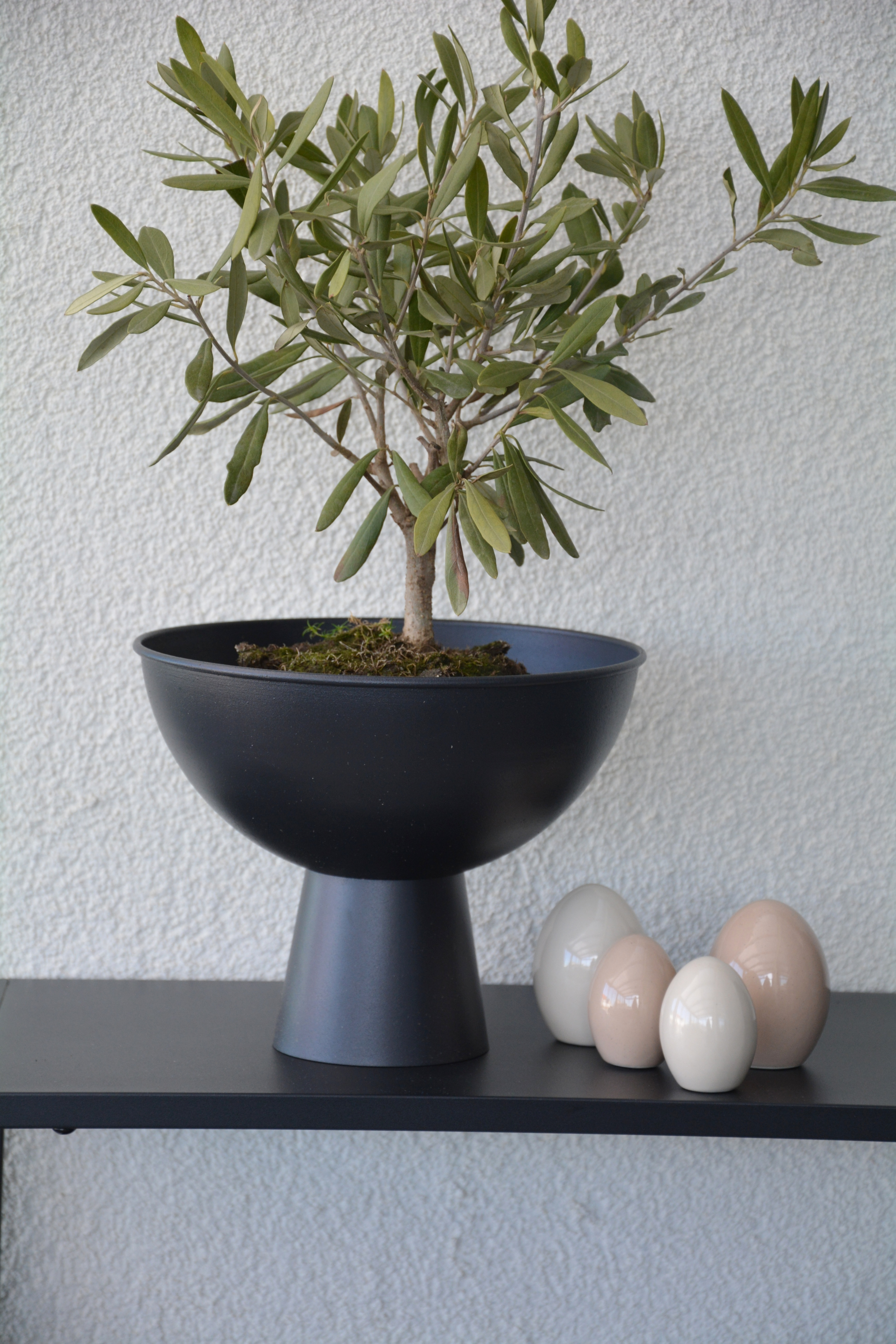 Kruka pokal svart 23 cm