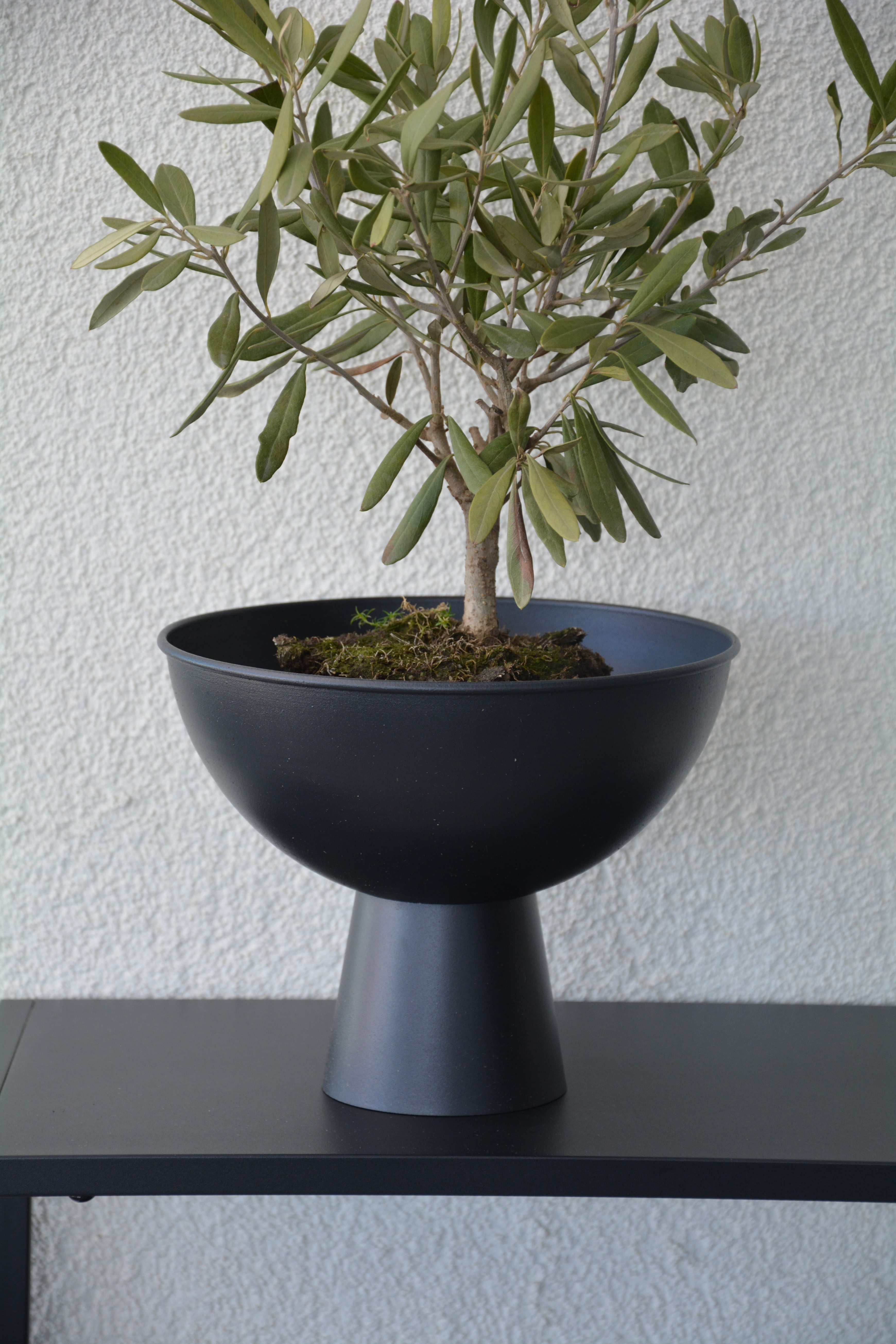 Kruka pokal svart 23 cm - 5