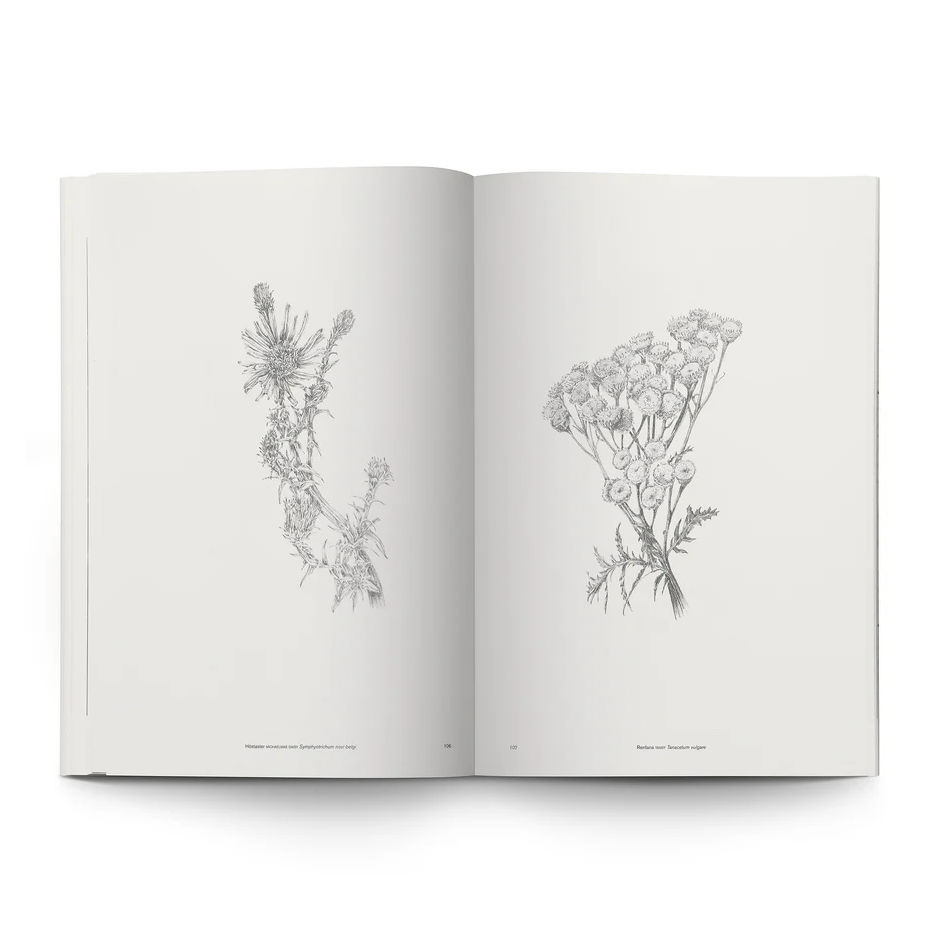 Simon Torssell Lerin & Bettina Hvidevold Hystad: Electronic Flora - 2