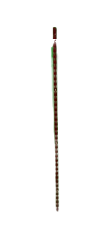Väggfäste