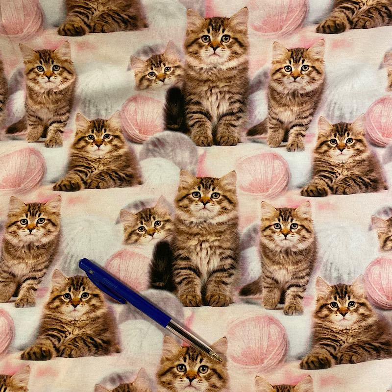 KATTER MED NYSTAN