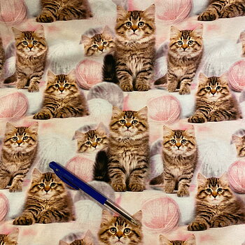 KATTER MED NYSTAN