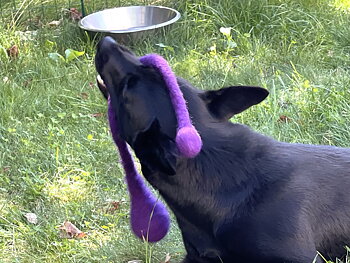 Snörboll Skye - Intensiv lila