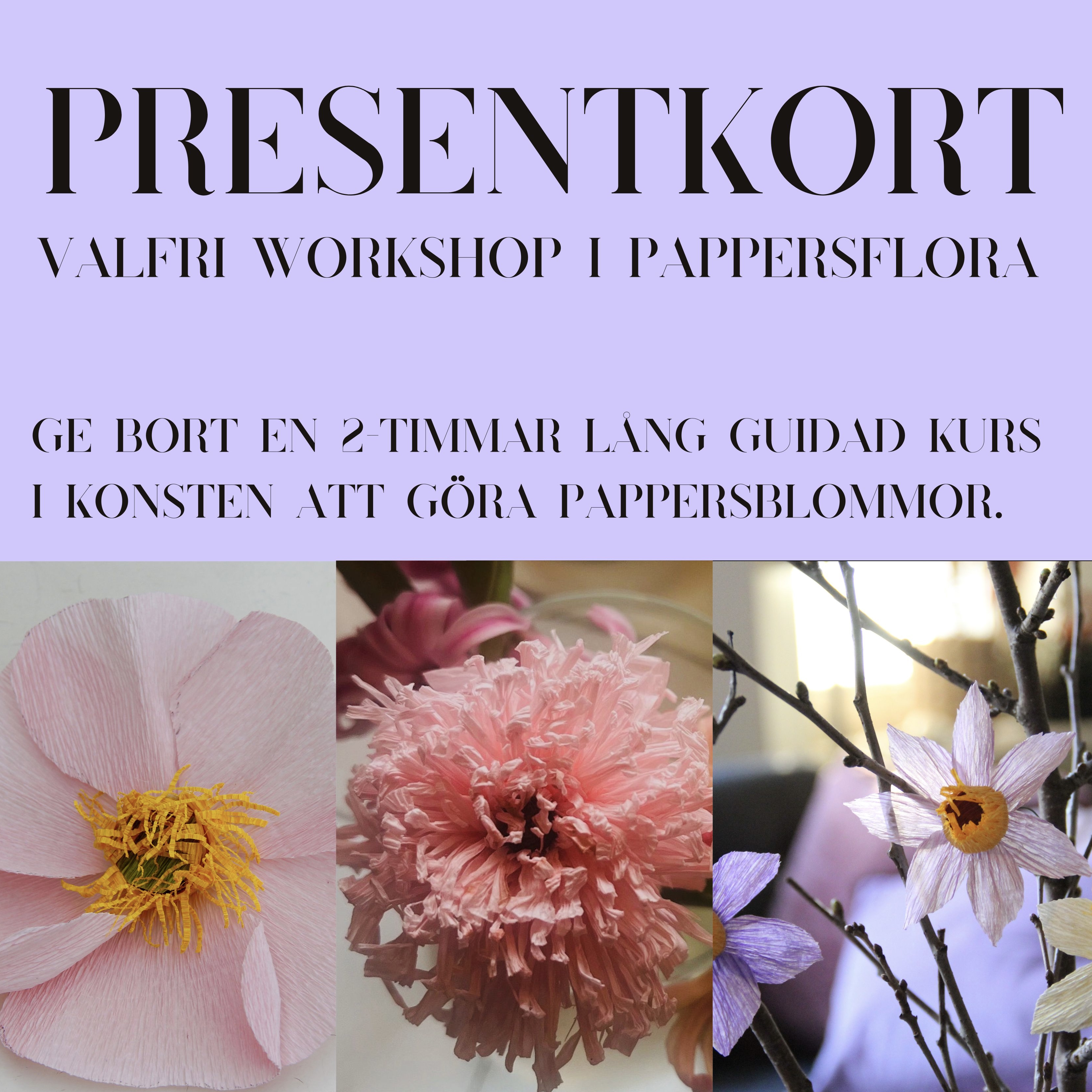 Bild på presentkort till valfri workshop i pappersflora, med olika slags pappersblommor på bilden. 