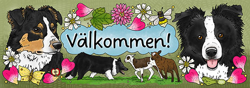 Skylt - Välkommen Border collie