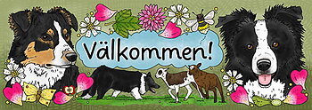 Skylt - Välkommen Border collie