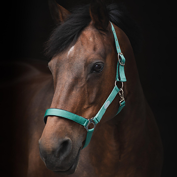 GRIMMA HORSE UNIQUE BASIC