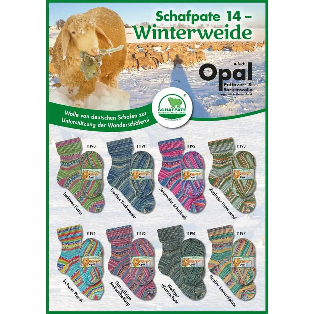 Schafpate 14 Winterweide (30 m st 2,5) - 9