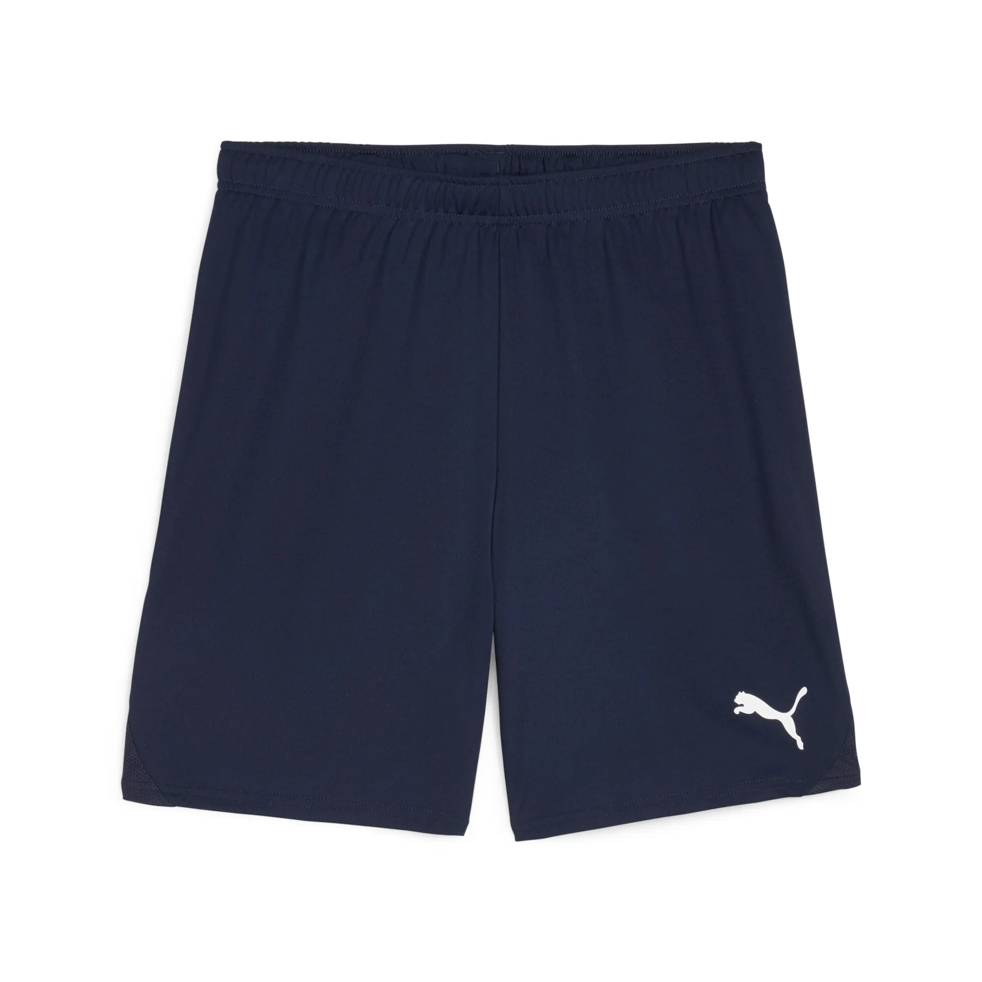 Puma TeamGoal shorts (Branteviks IF)