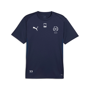 Puma TeamGoal T-shirt (Branteviks IF)