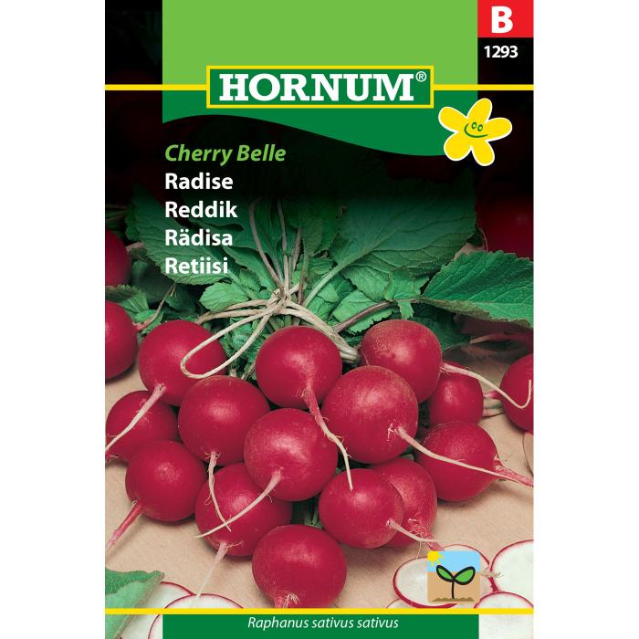 Rädisa "Cherry Belle"
