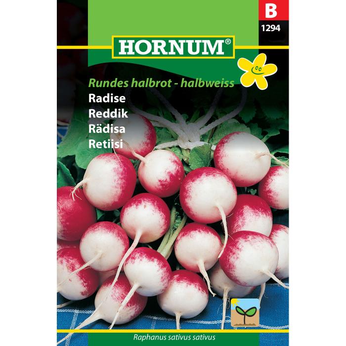 Rädisa "Rundes halbrot-halbweiss"