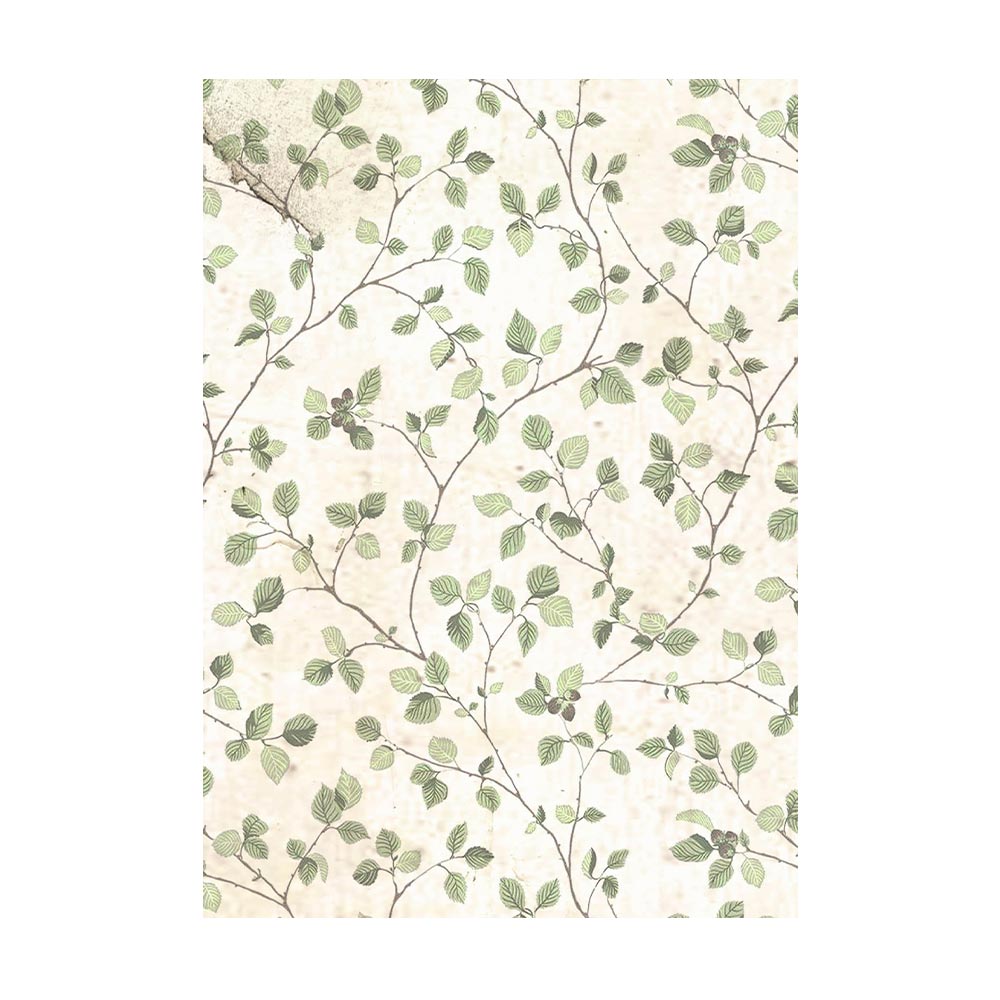 Selection 8 Rice paper A6 backgrounds - House of Roses  - 7