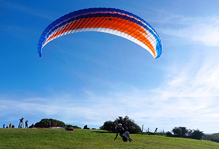 Windtech Honey 3  EN A   2022