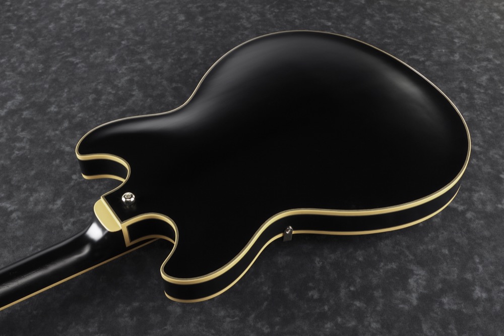 Ibanez JSM20-BKL - 3