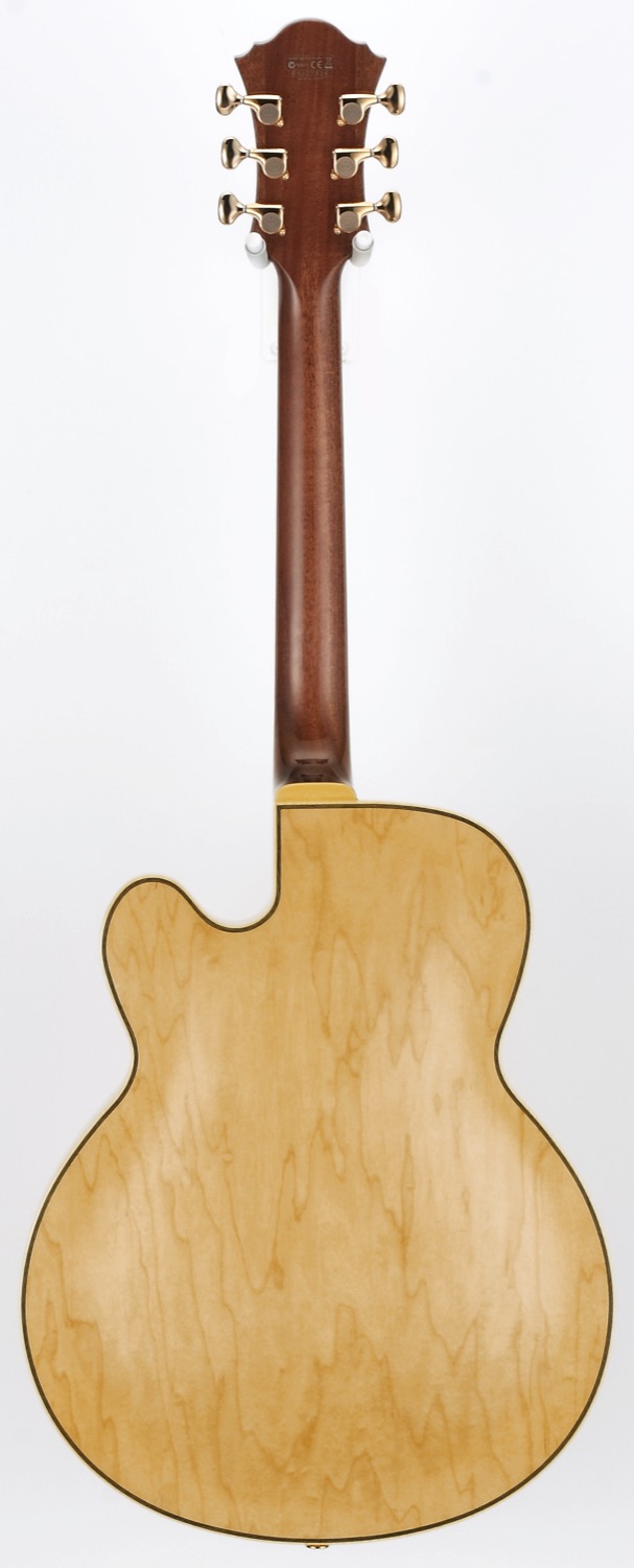 Ibanez PM200-NT - 5