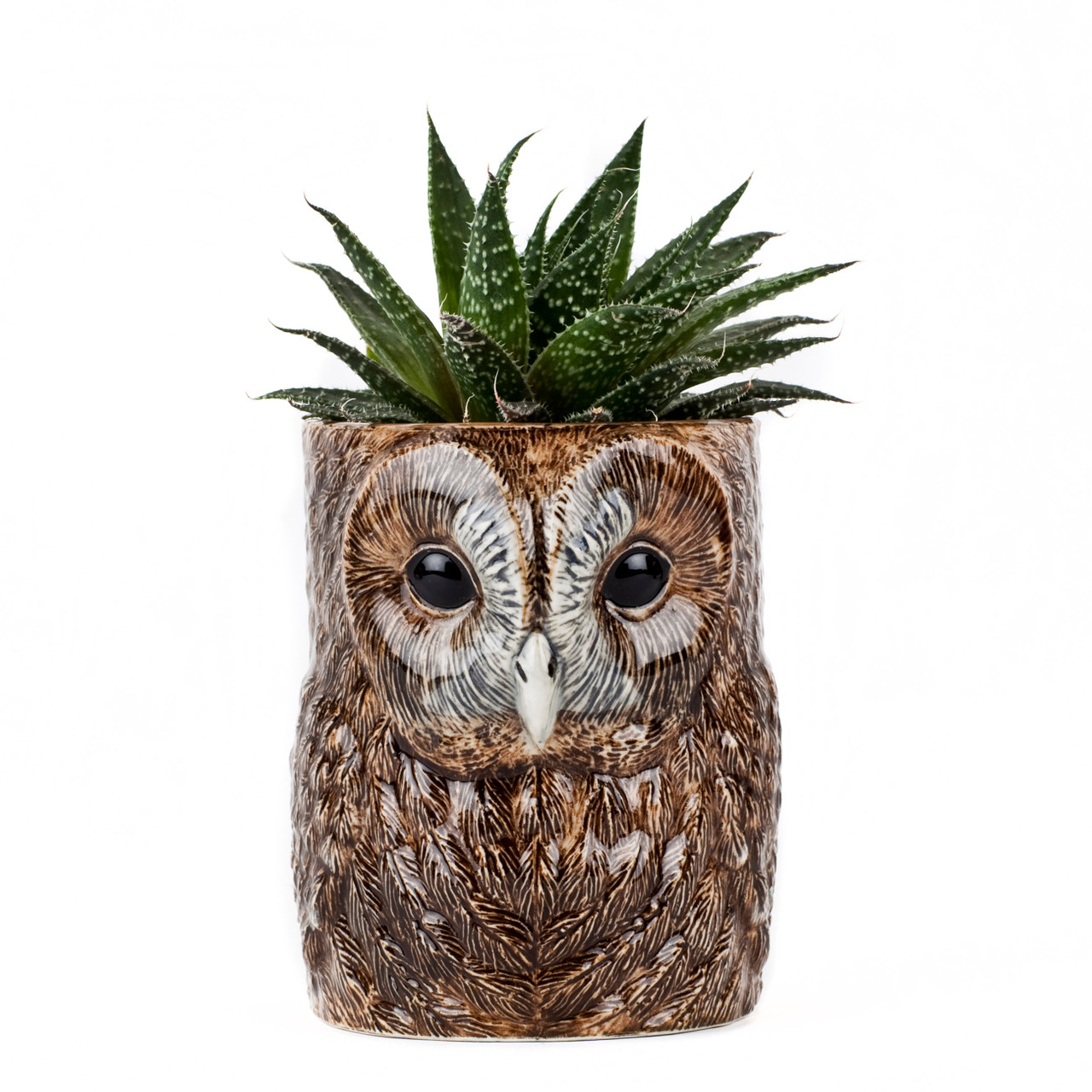 Pennkopp Tawny owl, Handmålat stengods från Quail Ceramics - 3