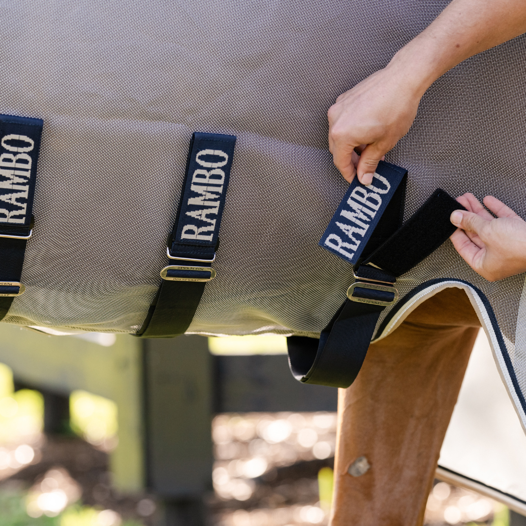 RAMBO PROTECTOR FIELDSAFE  (DISC-FRONT) - 4
