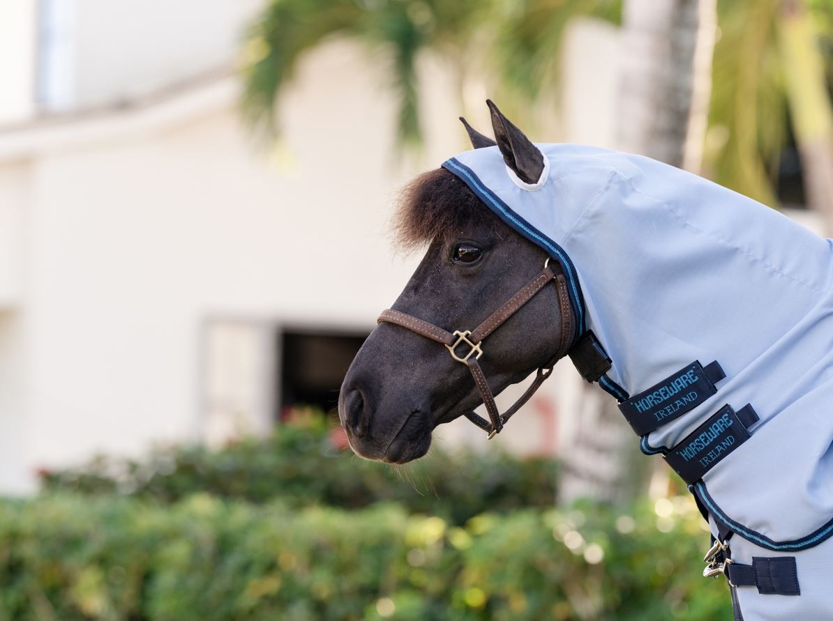 Horseware Amigo Petite Ripstop Hoody Fly Sheet – Azure Blue/Navy & Electric Blue - Insect protection