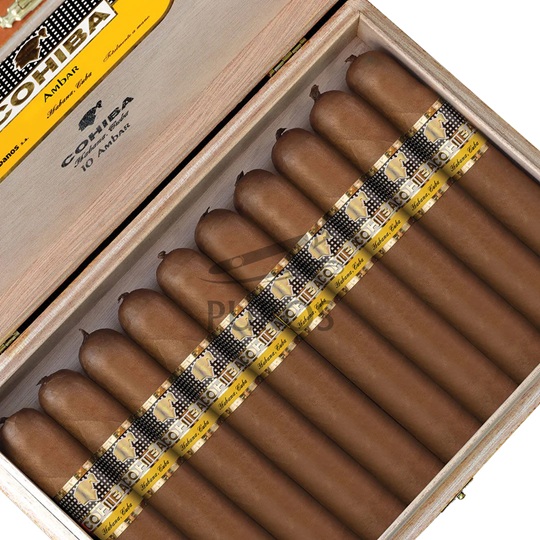 Cohiba Ambar  Cigarrlåda 10-pack
