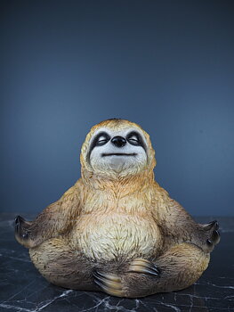 Yoga sloth
