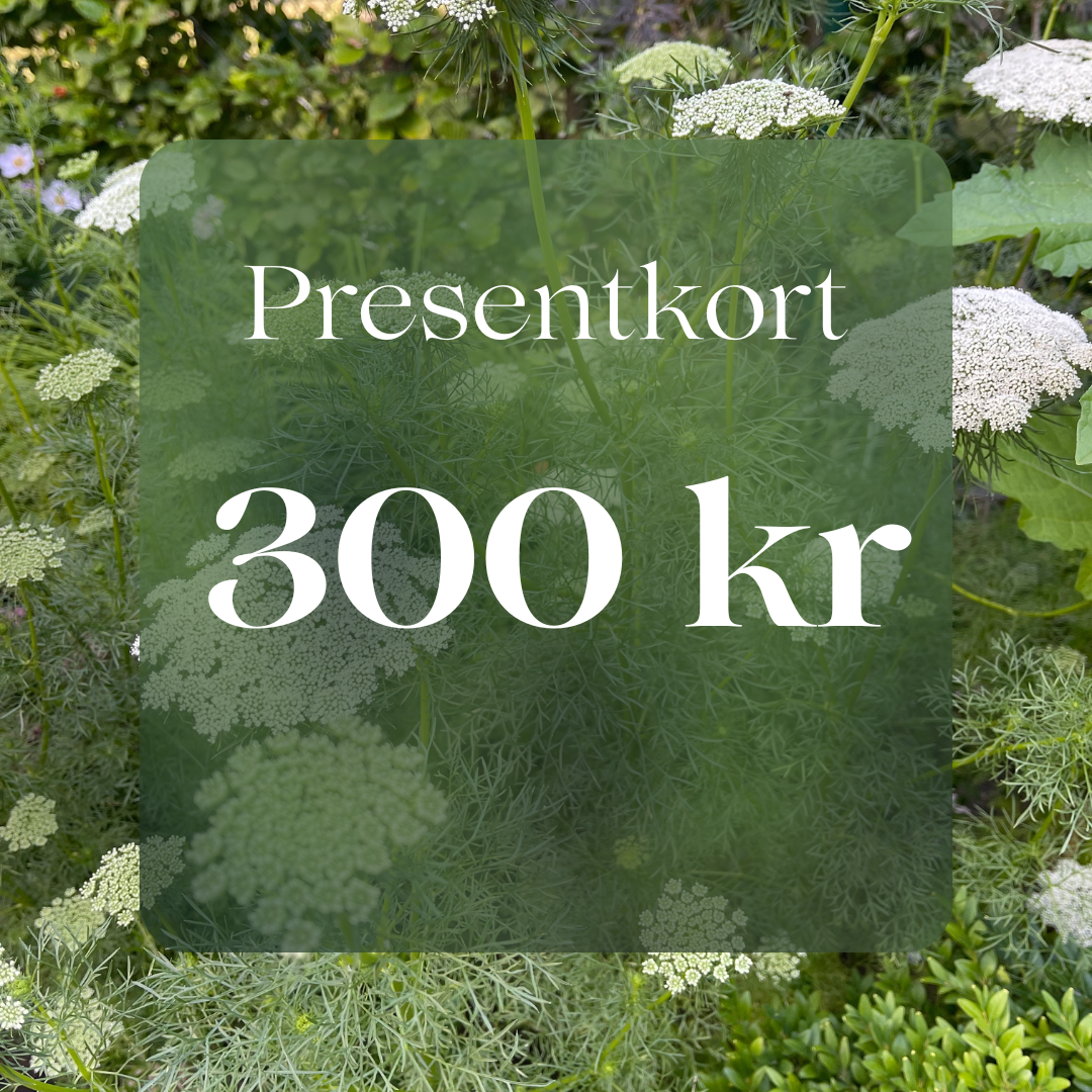 Presentkort 300 kr
