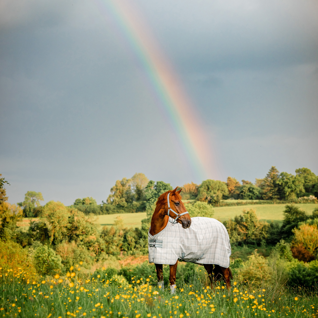 HORSEWARE NEWMARKET FLY SHEET UTGÅENDE FÄRG - 6