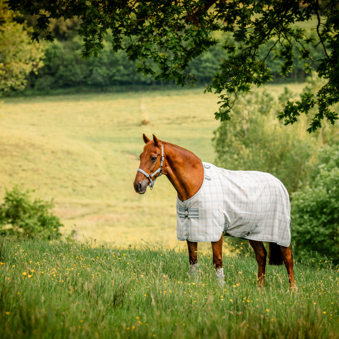 HORSEWARE NEWMARKET FLY SHEET UTGÅENDE FÄRG - 7