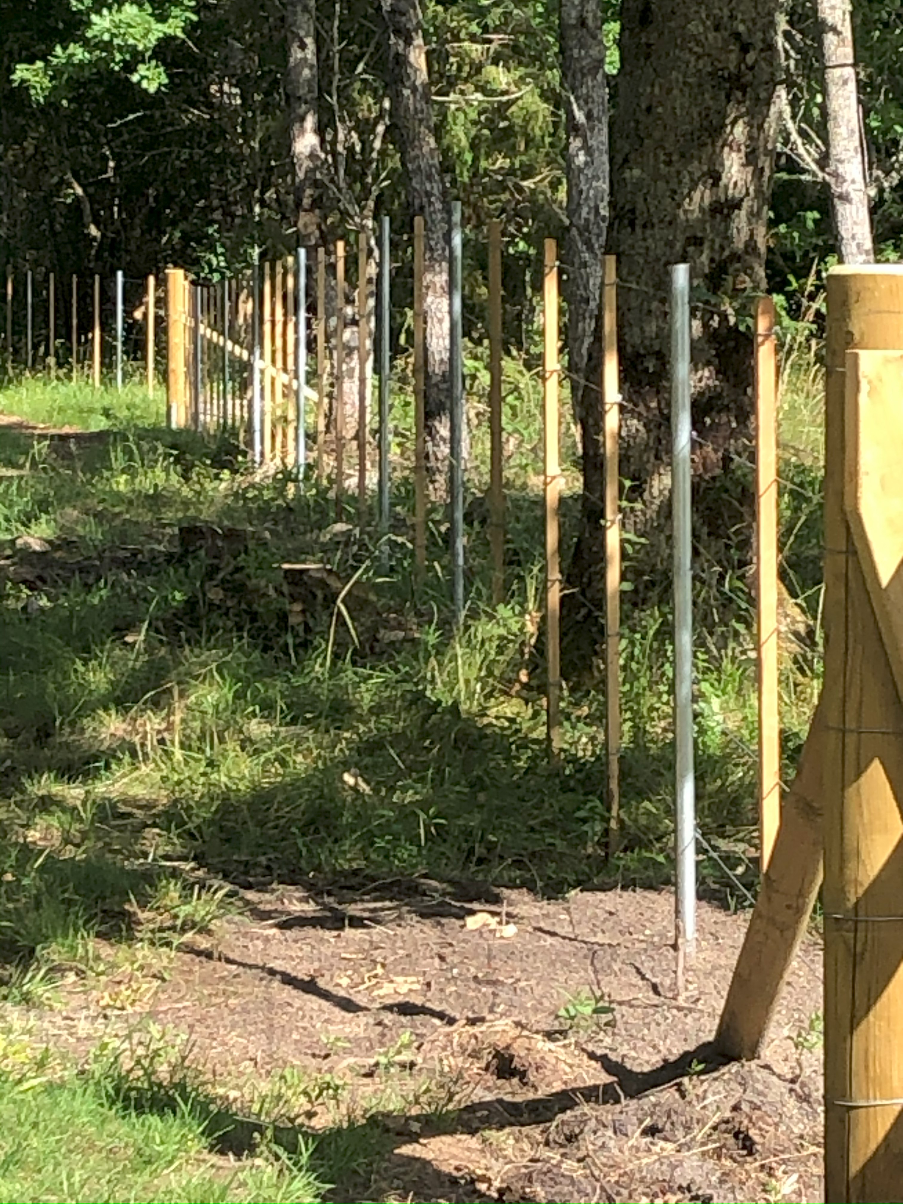 Cattle fence package approx. 4ha or 1000m of fence - 2