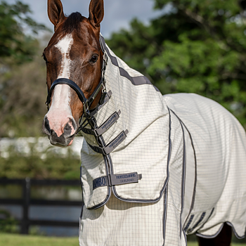 RAMBO OPTIMO SUPREME SUMMER SHEET PLUS