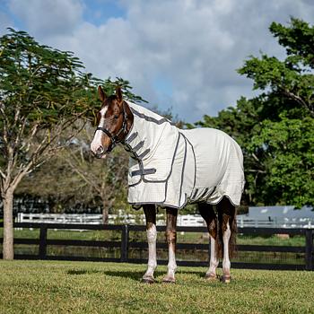 RAMBO OPTIMO SUPREME SUMMER SHEET PLUS