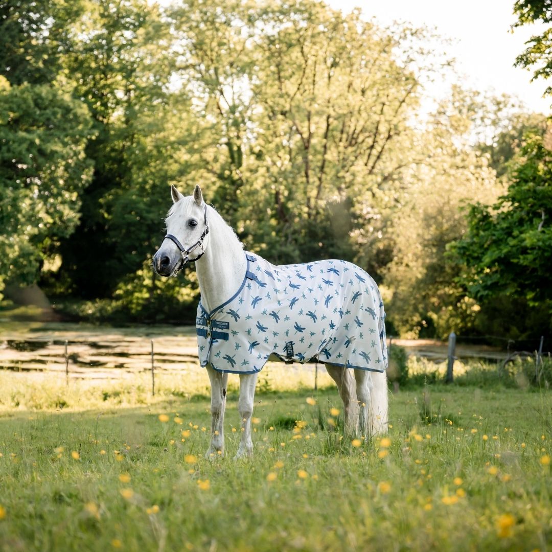 AMIGO BUG RUG PONY  - 5