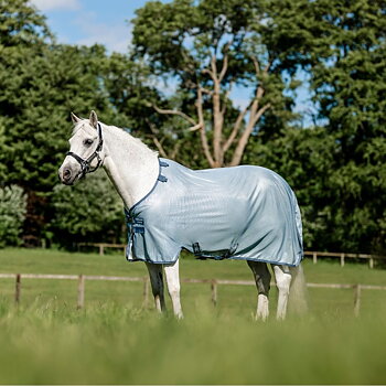 AMIGO BUG RUG PONY 
