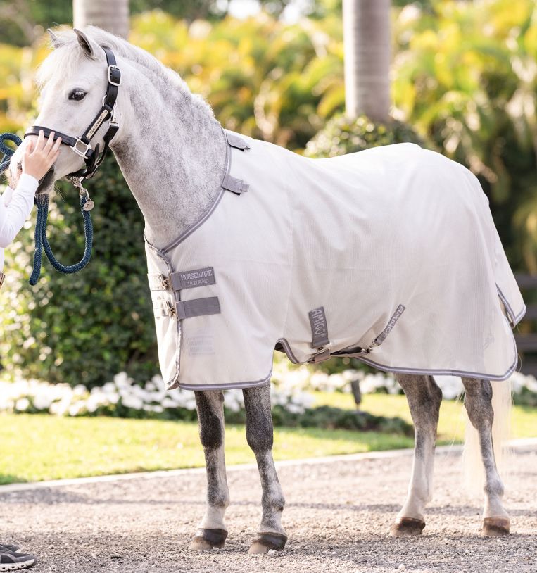 AMIGO BUG RUG PONY  - 3