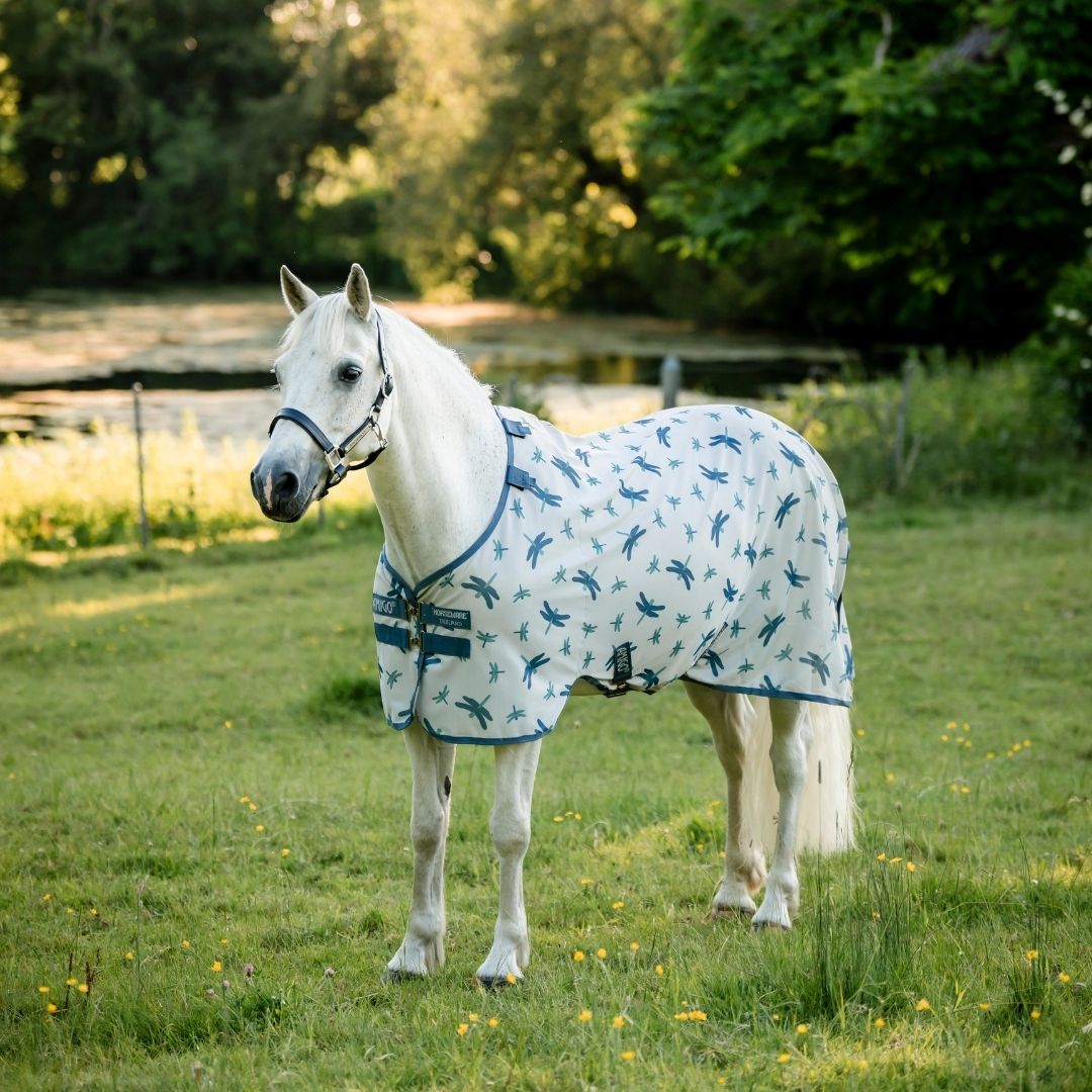 AMIGO BUG RUG PONY 