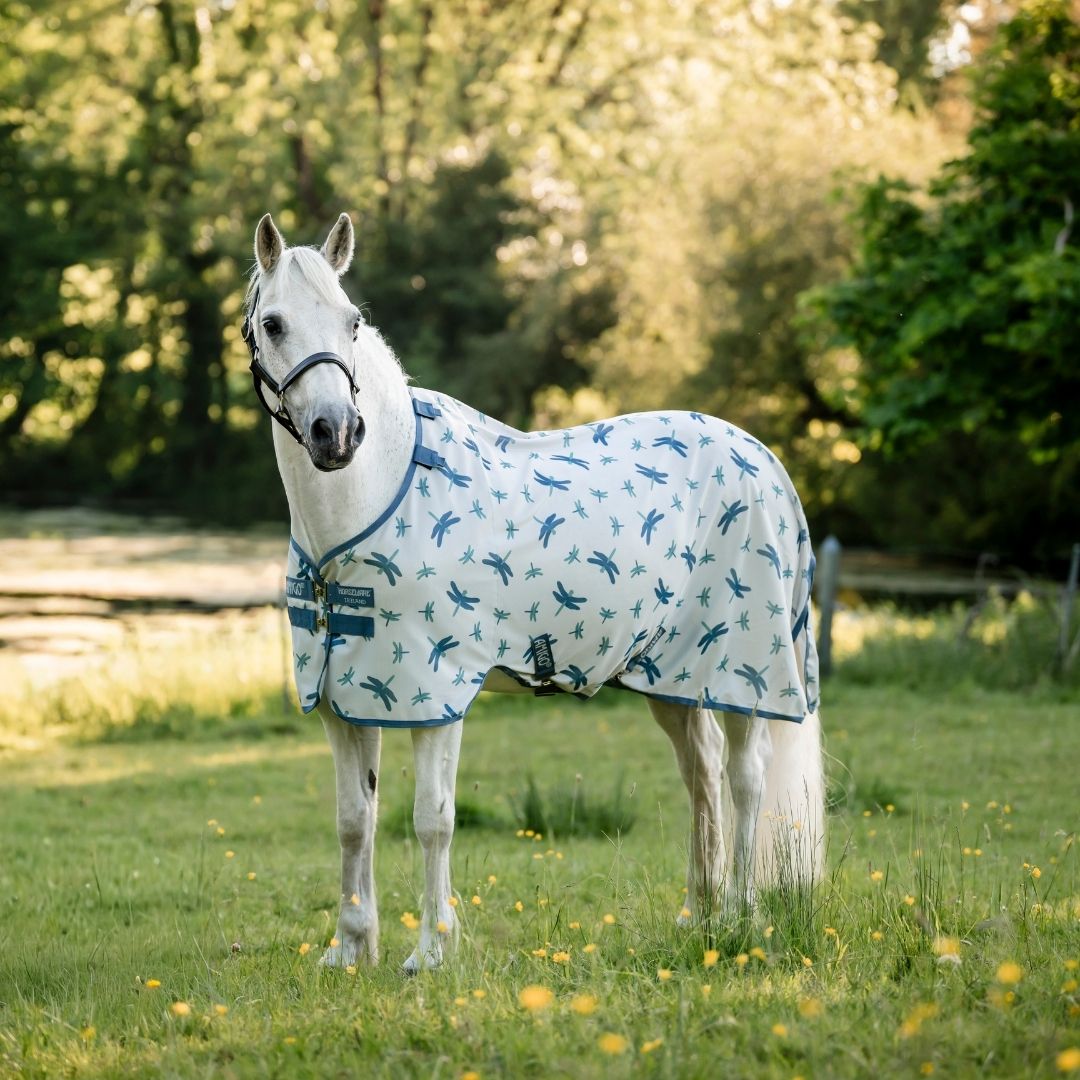 AMIGO BUG RUG PONY  - 6